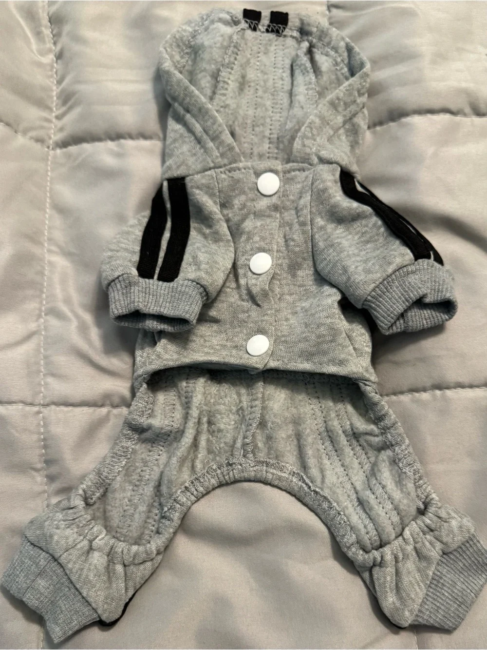 Gray Paw Print Dog Hoodie & Pants Set